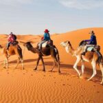 Camel caravan walking through the stunning sand dunes of the Merzouga desert, Sahara Morocco.