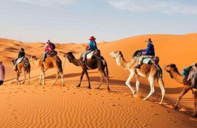 Camel caravan walking through the stunning sand dunes of the Merzouga desert, Sahara Morocco.