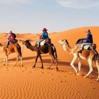 Camel caravan walking through the stunning sand dunes of the Merzouga desert, Sahara Morocco.