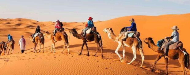 Camel caravan walking through the stunning sand dunes of the Merzouga desert, Sahara Morocco.