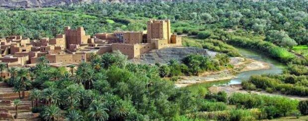 Traditional kasbah surrounded by palm trees and a lush oasis in the Draa Valley, Morocco