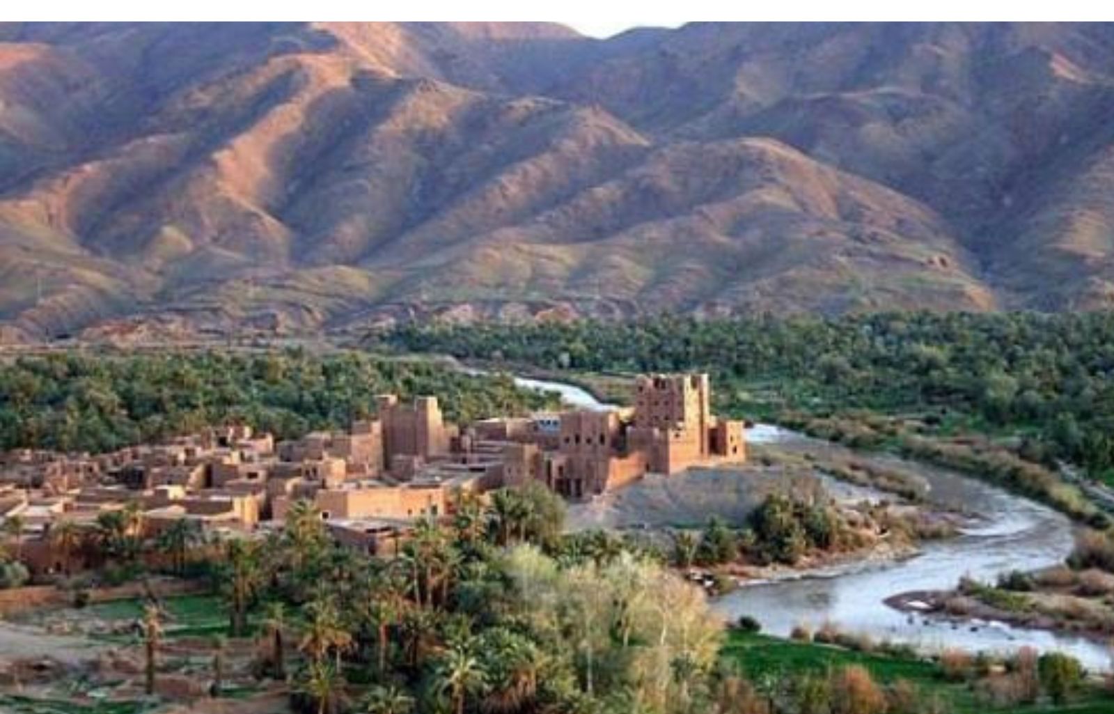 Traditional kasbah surrounded by palm trees and a lush oasis in the Draa Valley, Morocco