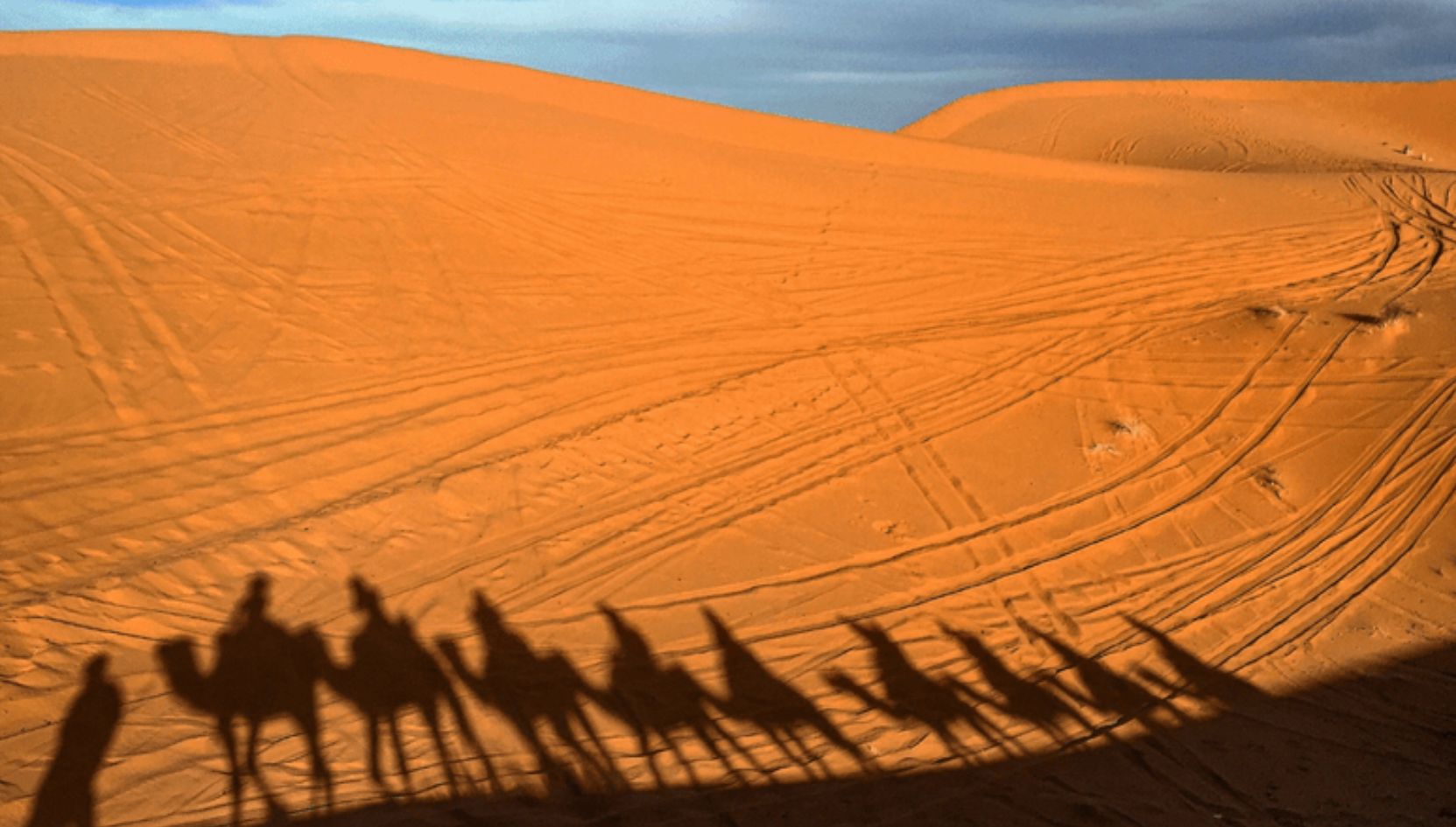 Shadows of a camel caravan cast over the golden dunes of Erg Chebbi in Merzouga, Morocco.
