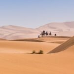 Camel caravan crossing the golden dunes of Erg Chebbi in the Merzouga Desert, Morocco.