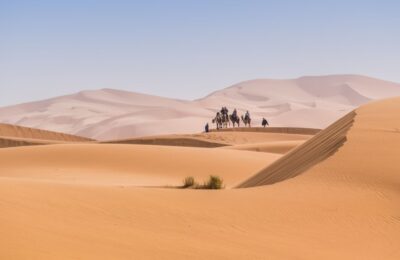 Camel caravan crossing the golden dunes of Erg Chebbi in the Merzouga Desert, Morocco.
