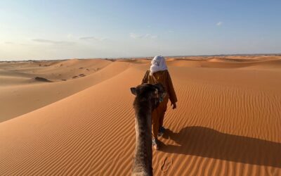 Camel trekking experience across the golden dunes of Erg Chebbi in Merzouga, Morocco.