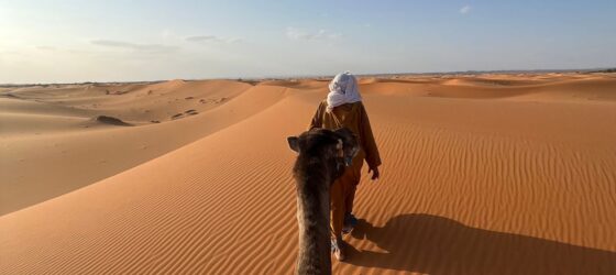 Camel trekking experience across the golden dunes of Erg Chebbi in Merzouga, Morocco.
