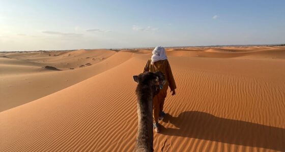Camel trekking experience across the golden dunes of Erg Chebbi in Merzouga, Morocco.