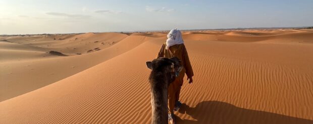Camel trekking experience across the golden dunes of Erg Chebbi in Merzouga, Morocco.