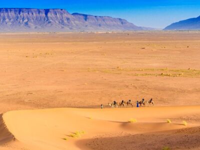 Camel caravan guided by Berber nomads crossing the golden dunes of the Zagora Desert with the Anti-Atlas mountains in the background.