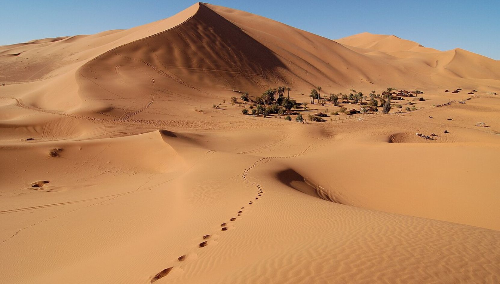 Aerial view of Erg Chebbi dunes with a desert oasis surrounded by golden sand in Merzouga, Morocco.