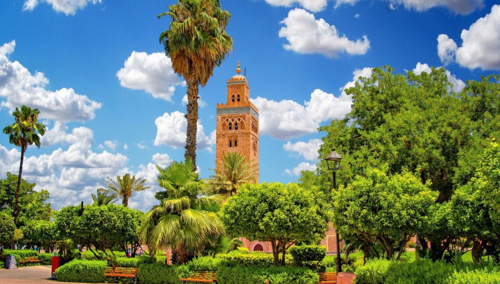Koutoubia Mosque surrounded by green gardens and palm trees in Marrakech