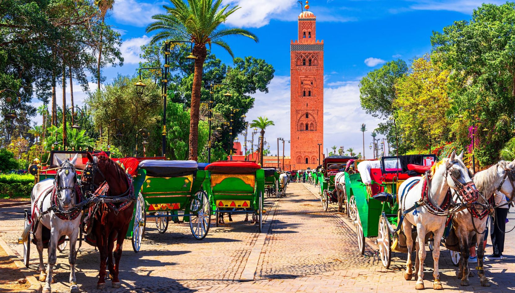 Horse carriages lined up near the Koutoubia Mosque in Marrakech