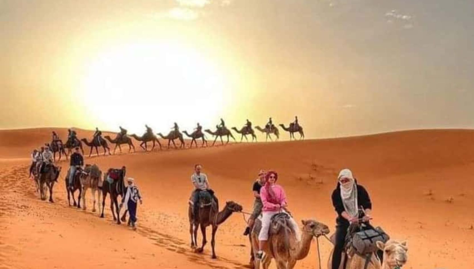 Camel caravan trekking through the golden dunes of Erg Chebbi at sunset in Merzouga, Morocco.