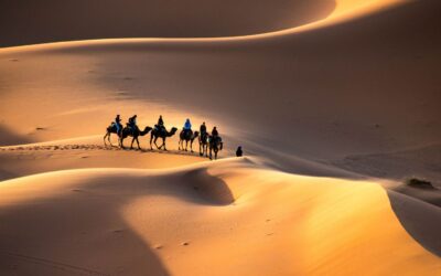 Camel caravan trekking through the golden dunes of Erg Chebbi at sunset in Merzouga, Morocco.