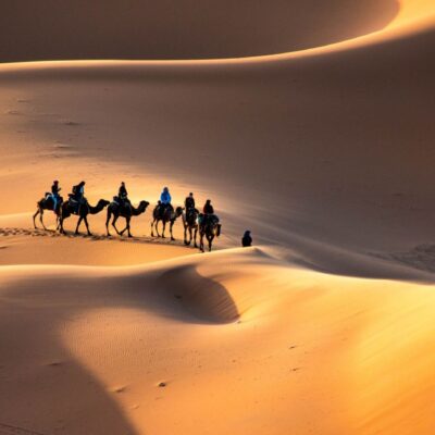 Camel caravan trekking through the golden dunes of Erg Chebbi at sunset in Merzouga, Morocco.