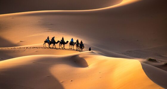 Camel caravan trekking through the golden dunes of Erg Chebbi at sunset in Merzouga, Morocco.