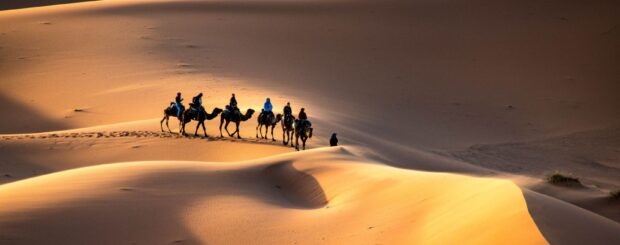 Camel caravan trekking through the golden dunes of Erg Chebbi at sunset in Merzouga, Morocco.
