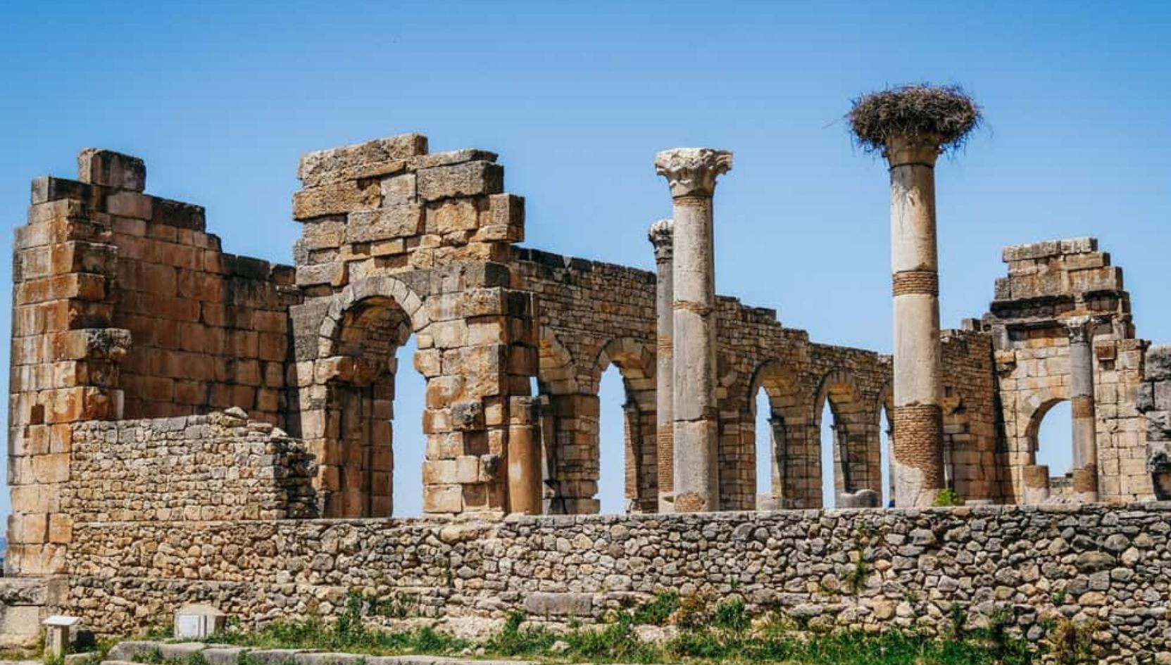 Ancient stone arches and Roman columns at Volubilis near Meknes, Morocco, with a stork’s nest on top of a pillar.