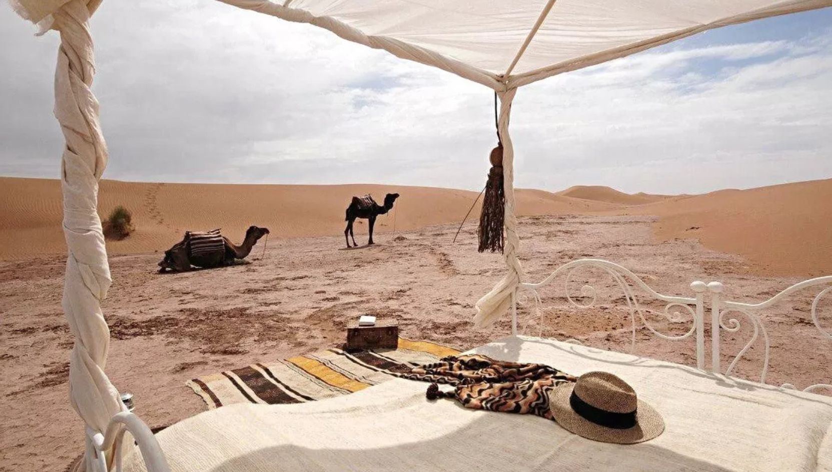 Luxury desert bed setup with camels resting among sand dunes in the Zagora Desert, Morocco.