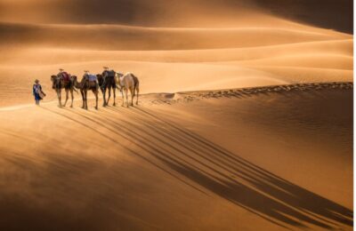 Camel caravan led by a Berber guide casting long shadows on the golden dunes of Erg Chebbi in the Sahara Desert of Morocco