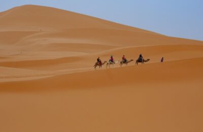 Camel caravan trekking across the vast golden dunes of Merzouga in the Erg Chebbi Sahara desert