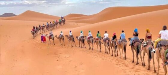 Camel caravan carrying travelers across the golden dunes of the Sahara Desert in Merzouga, Morocco.
