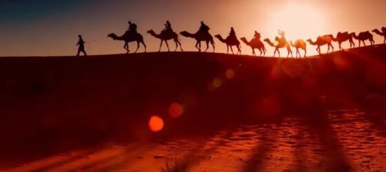 Silhouette of a camel caravan crossing the Sahara dunes at sunset in Merzouga, Erg Chebbi, and Chegaga