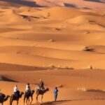 Camel caravan crossing the golden sand dunes of Merzouga in the Erg Chebbi desert