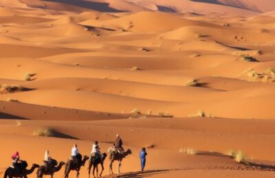 Camel caravan crossing the golden sand dunes of Merzouga in the Erg Chebbi desert