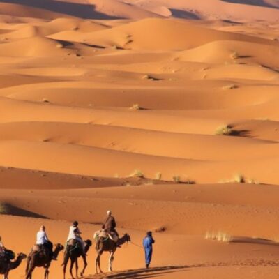 Camel caravan crossing the golden sand dunes of Merzouga in the Erg Chebbi desert