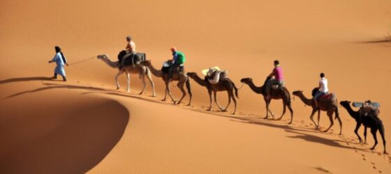 Camel trek with tourists riding across the sand dunes of Merzouga in the Sahara Desert
