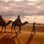 Camel trek at sunrise across the golden dunes of the Merzouga Sahara Desert