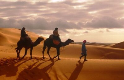 Camel trek at sunrise across the golden dunes of the Merzouga Sahara Desert