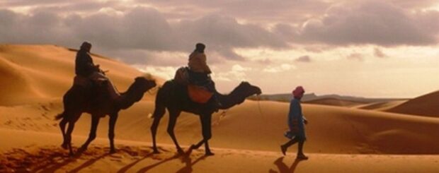 Camel trek at sunrise across the golden dunes of the Merzouga Sahara Desert