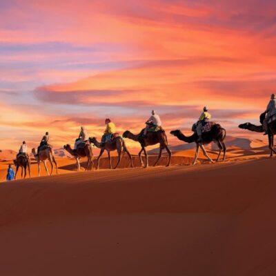 Camel trekking at sunset across the Sahara dunes in Merzouga, Chegaga, and Erg Chebbi