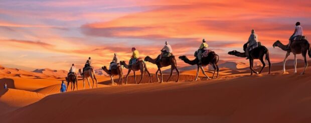 Camel trekking at sunset across the Sahara dunes in Merzouga, Chegaga, and Erg Chebbi