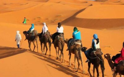 Tourists riding camels during a camel trekking tour across the golden dunes of the Merzouga Sahara desert in Morocco