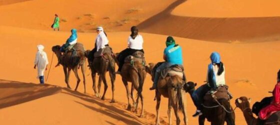 Tourists riding camels during a camel trekking tour across the golden dunes of the Merzouga Sahara desert in Morocco