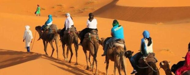 Tourists riding camels during a camel trekking tour across the golden dunes of the Merzouga Sahara desert in Morocco