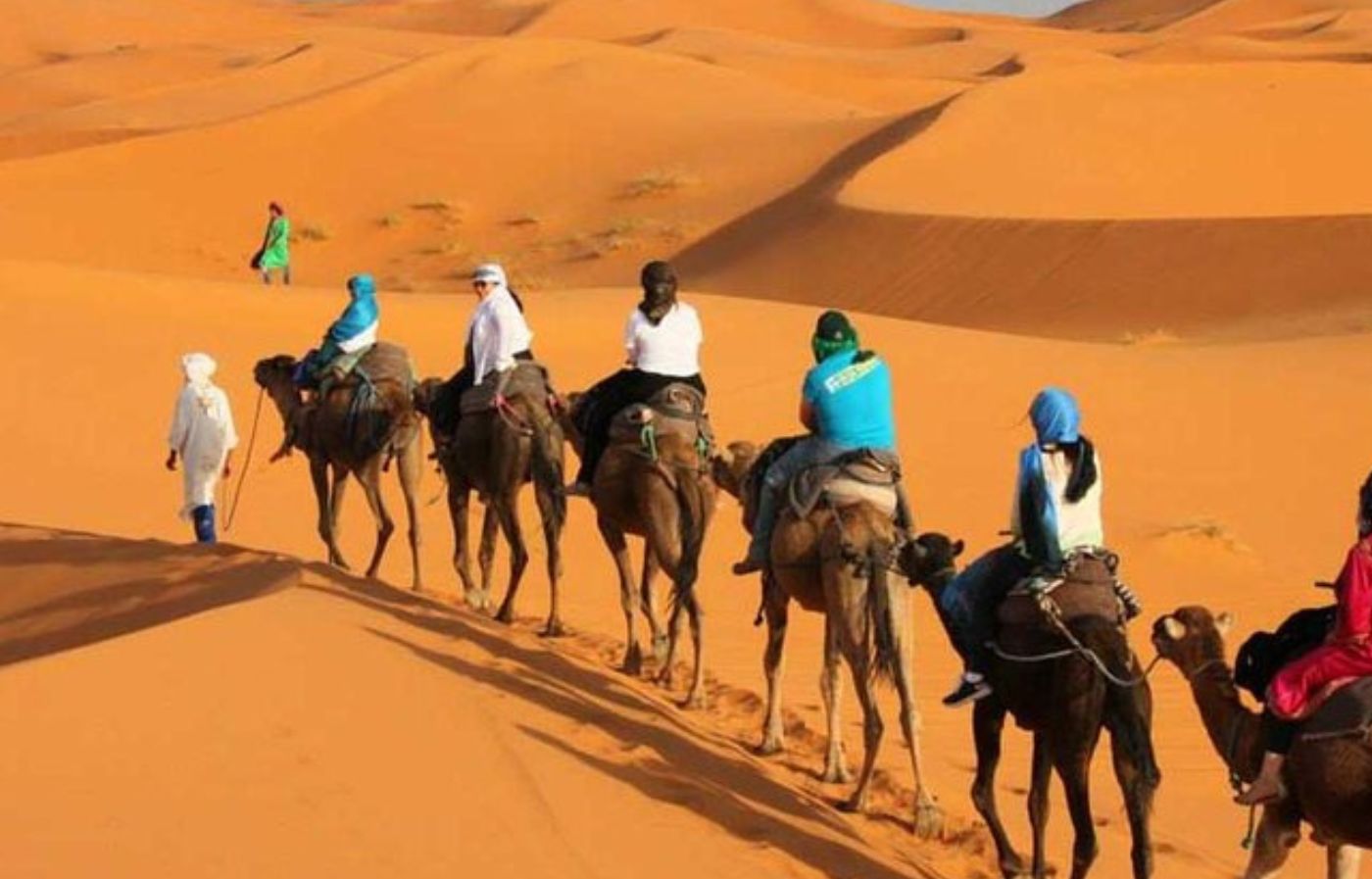 Tourists riding camels during a camel trekking tour across the golden dunes of the Merzouga Sahara desert in Morocco
