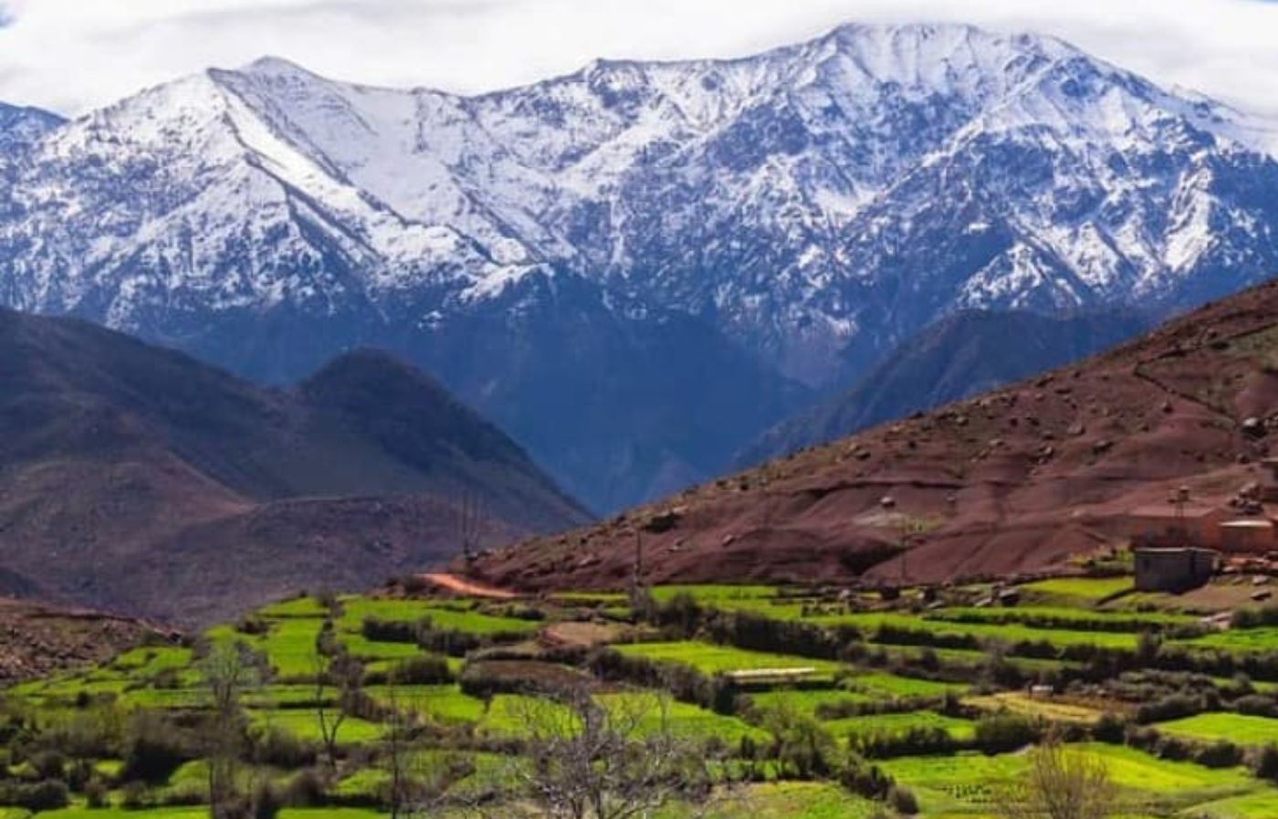 Snow-capped mountains of the High Atlas with green agricultural terraces in the valley of Morocco