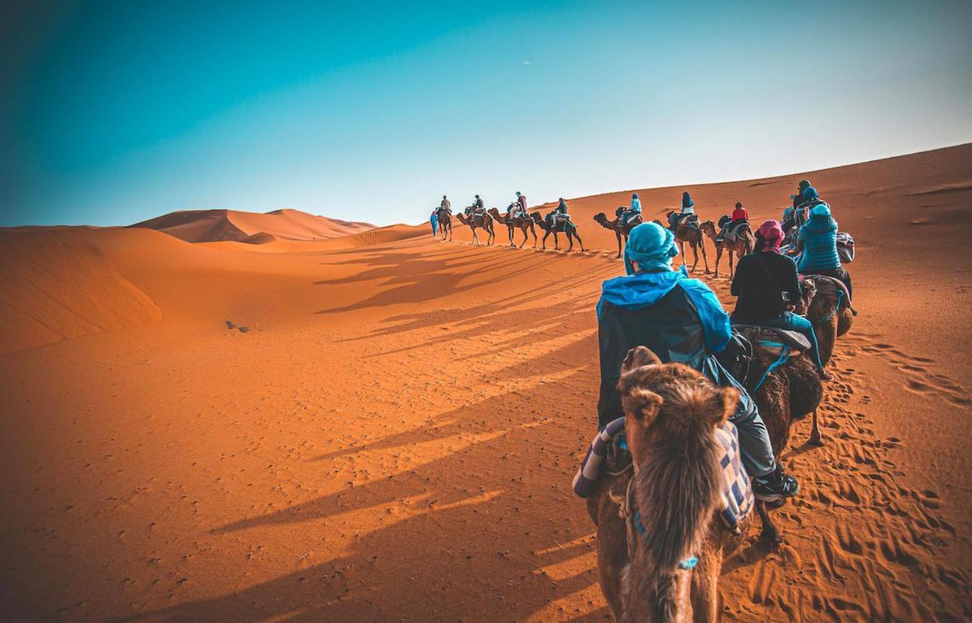 Camel trekking experience across the dunes of Merzouga, Chegaga, and Erg Chebbi desert in Morocco