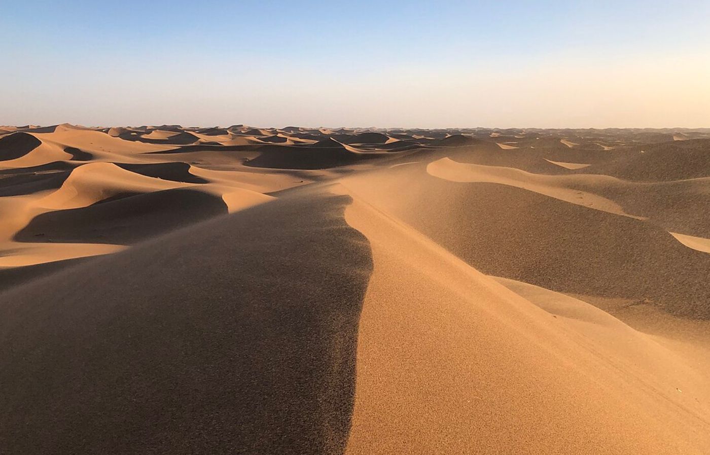 Golden sand dunes stretching across the Sahara Desert in Merzouga, Morocco, under a clear sky.